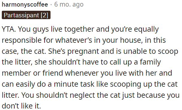 OP should take responsibility for the cat since his pregnant girlfriend needs his help with tasks like scooping the litter.