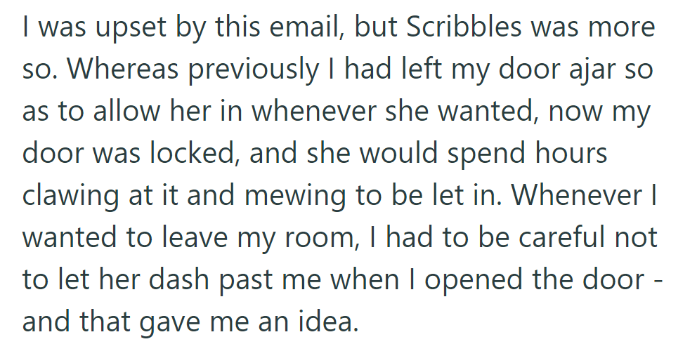 The email upset both OP and Scribbles. Locked out, Scribbles scratched at the door, prompting OP's idea.