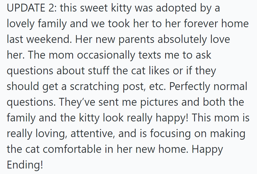 Sweet kitty ended up being adopted by a loving family, settling in happily.