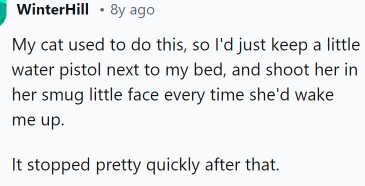 A Redditor said they used a water pistol to teach their cat the same