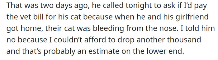 She had to pay quite a bit to repair her car, so when her brother asked her to help him with the vet bill for his cat, she refused: