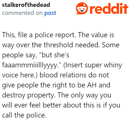 Family doesn't give anyone a reason to trash someone else's belongings.