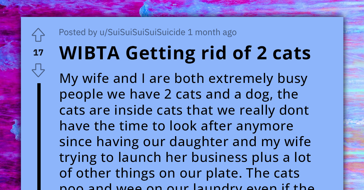 Husband Wants To Give Away Pet Cat Without Wife's Knowledge, Asks If That Would Be A Bad Thing To Do
