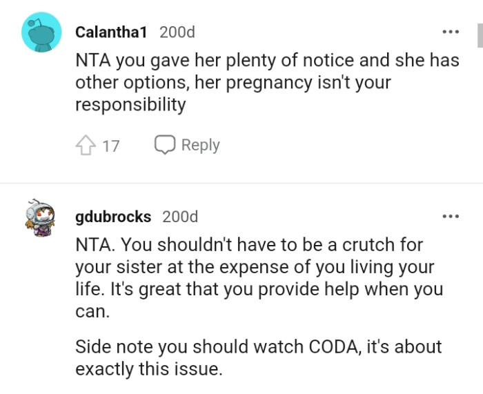 OP's Sister's Pregnancy Is Not Her Responsibility