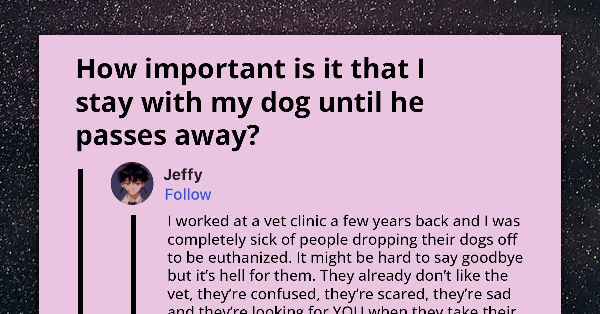 People Share Their Thoughts On The Importance Of Being There For Your Dog In Their Final Moments