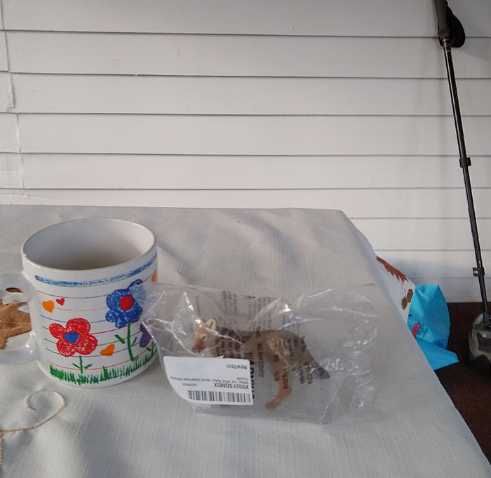 10. “My wife ordered a fake predator lawn deterrent for our geese problem without checking dimensions.”