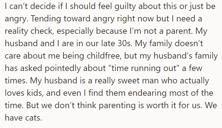 The OP explained they are child-free as parenting is not for them