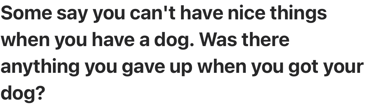 Dog parents had a lot to say on this topic.