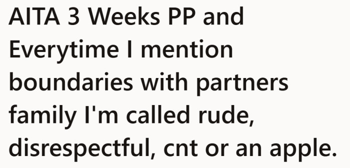 Three weeks after giving birth, she’s already being labeled the problem for asking for basic boundaries.
