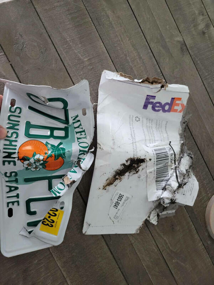 "How My New License Plate Was Delivered By FedEx. 1 Day Late"