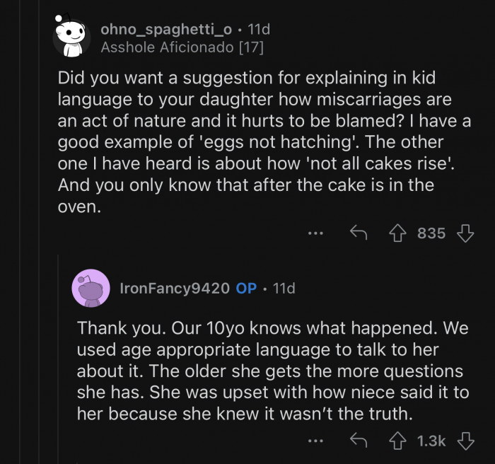 OP's daughter knew what her niece was saying was not the truth.