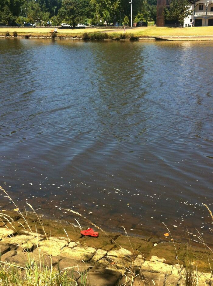 16. Be careful when you go to the banks of the Yarra in Melbourne CBD. You might spot this dangerous croc.
