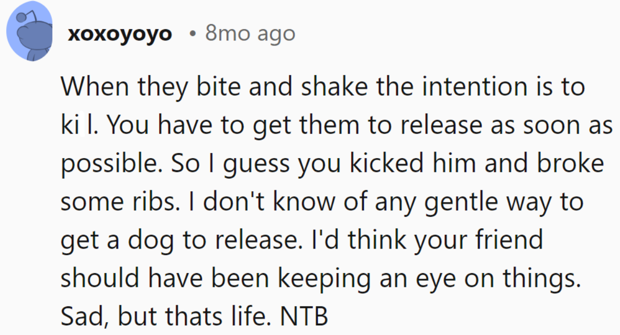 Sometimes, a swift kick is the only language a dog understands when it's attacking. NTB.