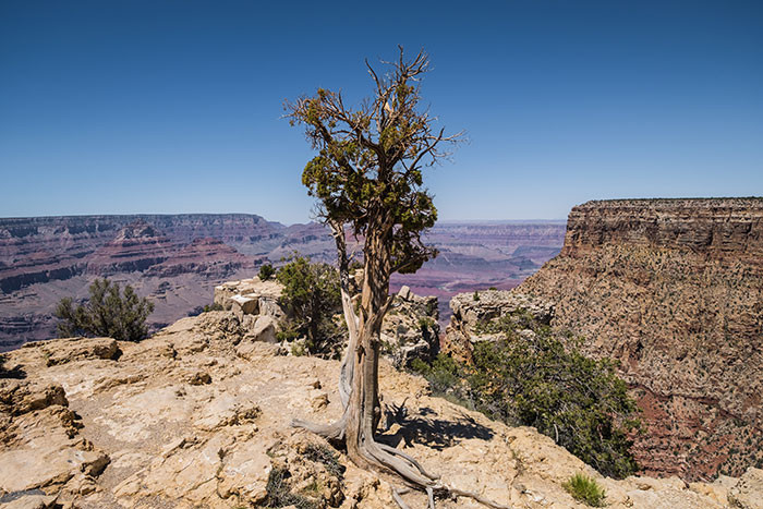 Grand Canyon Rim-To-Rim Hike, U. S. - 48 Miles