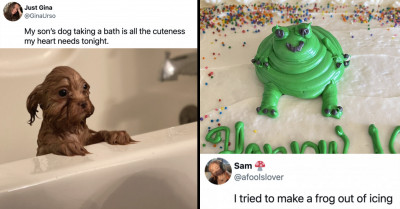 13 Joyful Happenings Shared By People Online That Will Send Some Good Vibes Your Way