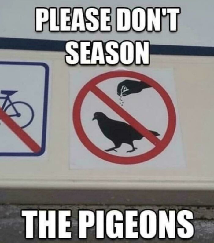 "Pigeons: We Prefer Our Garbage Bland, Thanks"