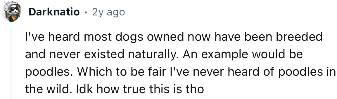 “I've heard most dogs owned now have been bred and never existed naturally.”
