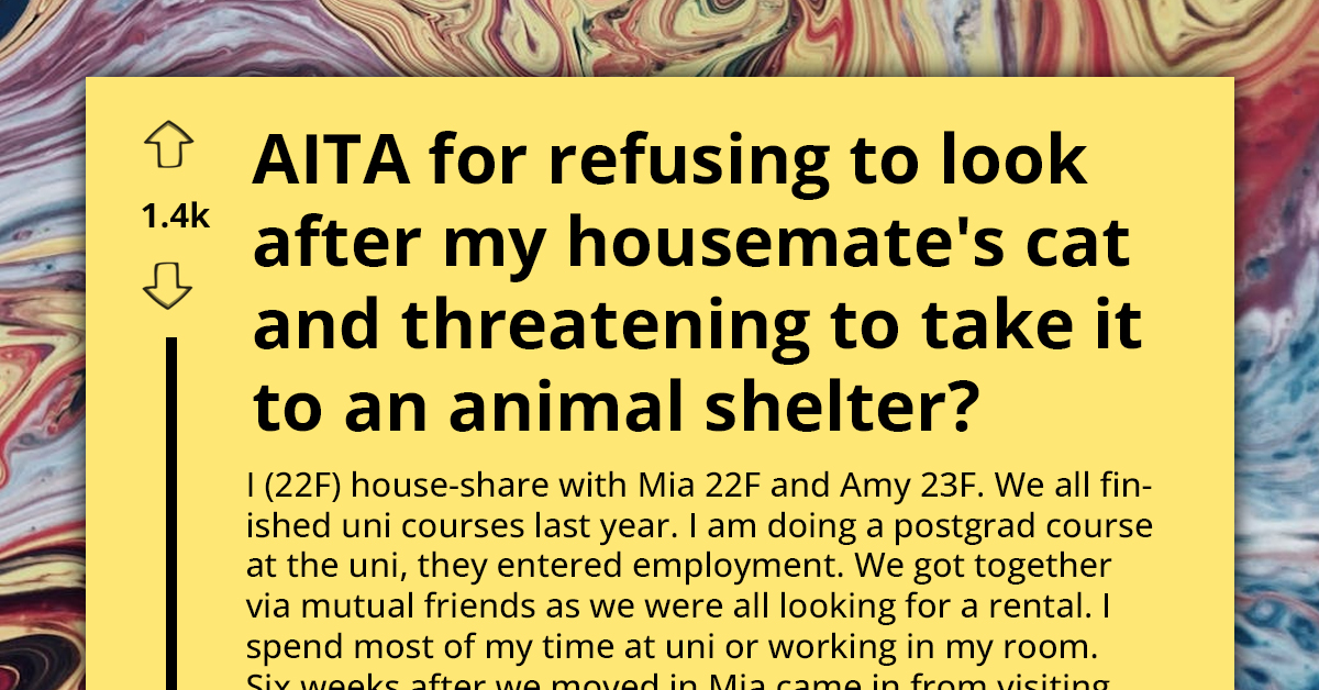 Woman Threatens To Take Housemate's Cat To Animal Shelter After Being Left Alone With It For Months Despite Her Dislike For Cats