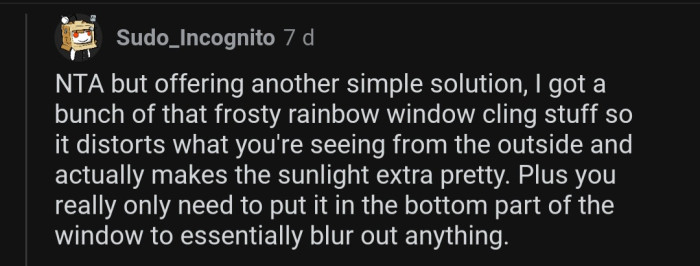 OP can solve this problem by applying a distorting sticker to his window.