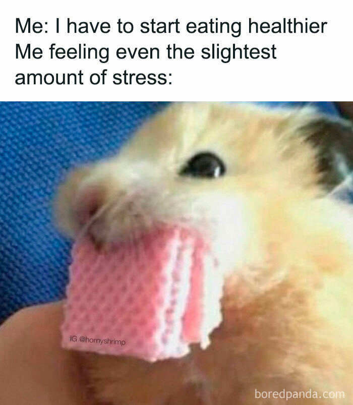 8. Let's chomp down on whatever we can grab our mouths on