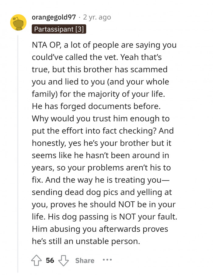 #14 Having a dog is a lifetime responsibility.