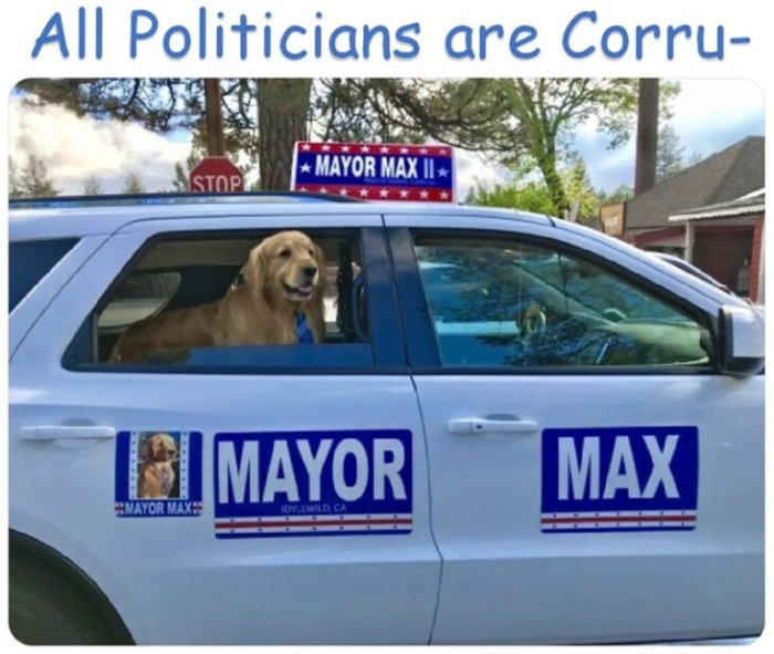 26. Not Mayor Max
