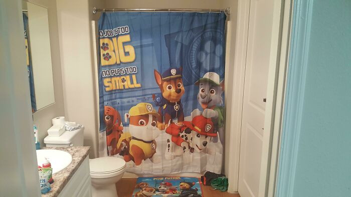 "I Have A 3 Year Old... I Did Not Choose My Shower Curtain"