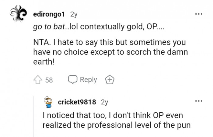 The professional level of pun