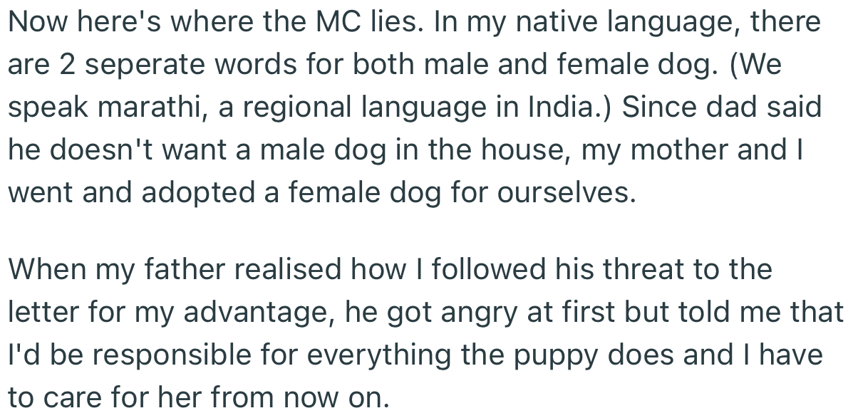 Interestingly, OP and their mom brought home a female dog. Seeing the dog, their dad was upset but made it clear that they would be solely responsible for its care.