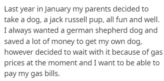 OP's parents decided to adopt a Jack Russell puppy, but OP always wanted to have a German Shepherd