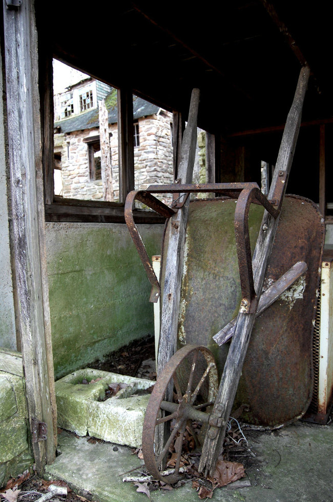 A rotting wheelbarrow