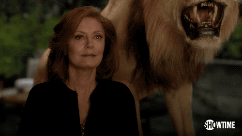 Debra Messing and Susan Sarandon have been fighting on Twitter for years, and it doesn't appear to be ending any time soon