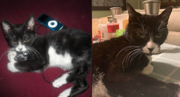 21. Comparing the identical expression in November 2008 and November 2022