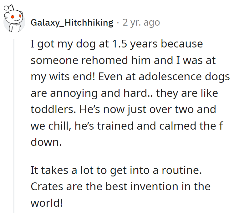 Surviving the 'adolescent dog' phase is like winning a marathon! Cheers to crates and reaching the 'chill' zone after the chaos.