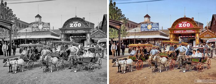 The goat carriages, Coney Island. New York, 1904.