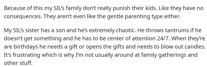 SIL has a very troublesome nephew, and he is the reason OP doesn't attend family gatherings very often.