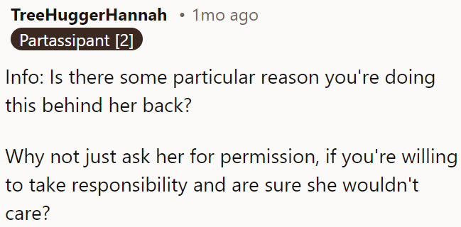 OP should ask for her roommate's permission instead of doing this secretly, especially if she is prepared to take responsibility.