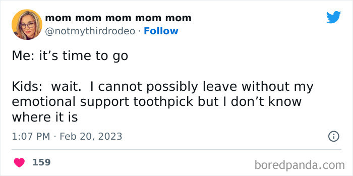 34. Emotional Support Toothpick