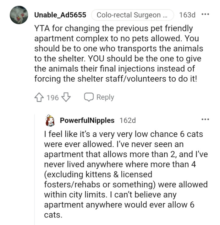 The OP should transport the animals to the shelter