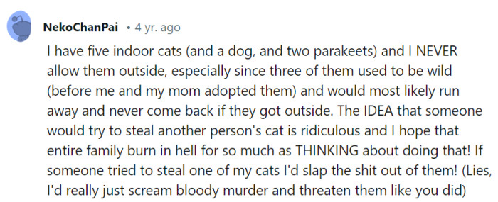 The thought of anyone stealing a cat is outrageous, and this pet owner's protective instincts are as fierce as their love for their furry family members!