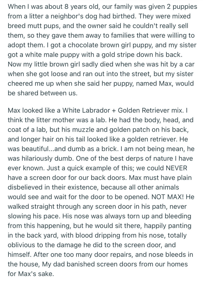 A bit about Max, the beautiful bonky boy