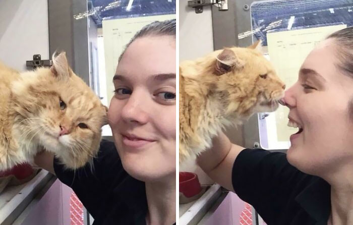 24. I Work At A Cat Shelter. These Are The “Can We Keep Him?” Photos I Sent To My Partner. It Worked
