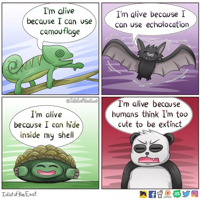 10. Why Are You Alive?