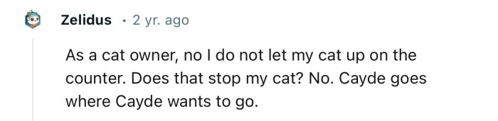 “As a cat owner, no, I do not let my cat up on the counter. Does that stop my cat? No.”