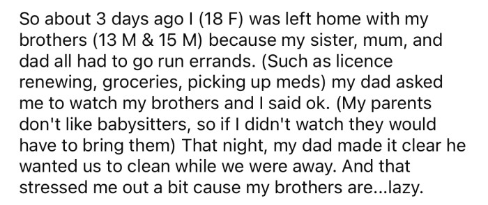 OP was left in charge of her two younger brothers and was expected to do some chores as well.