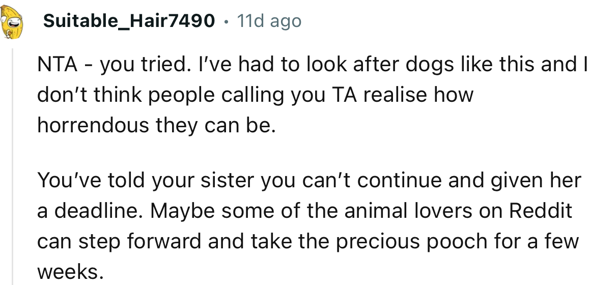 “NTA. I’ve had to look after dogs like this, and I don’t think people calling you TA realize how horrendous they can be.”