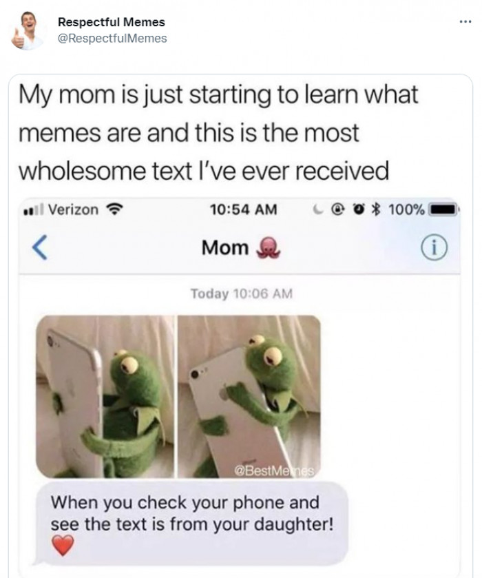 13. Moms and Memes