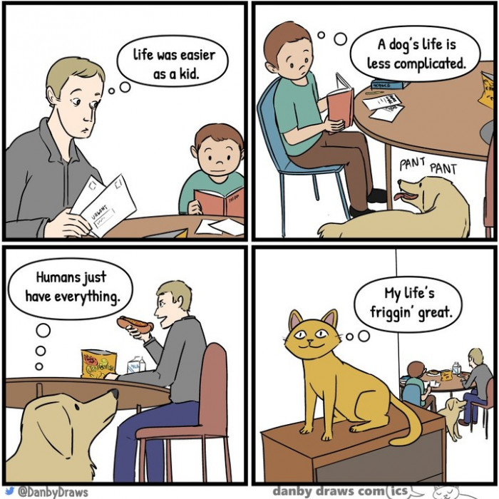 12. We all want things that we can’t have... except cats!