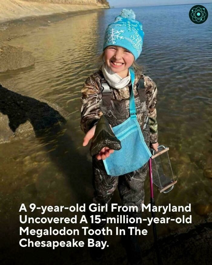 "Lucky Discovery"
