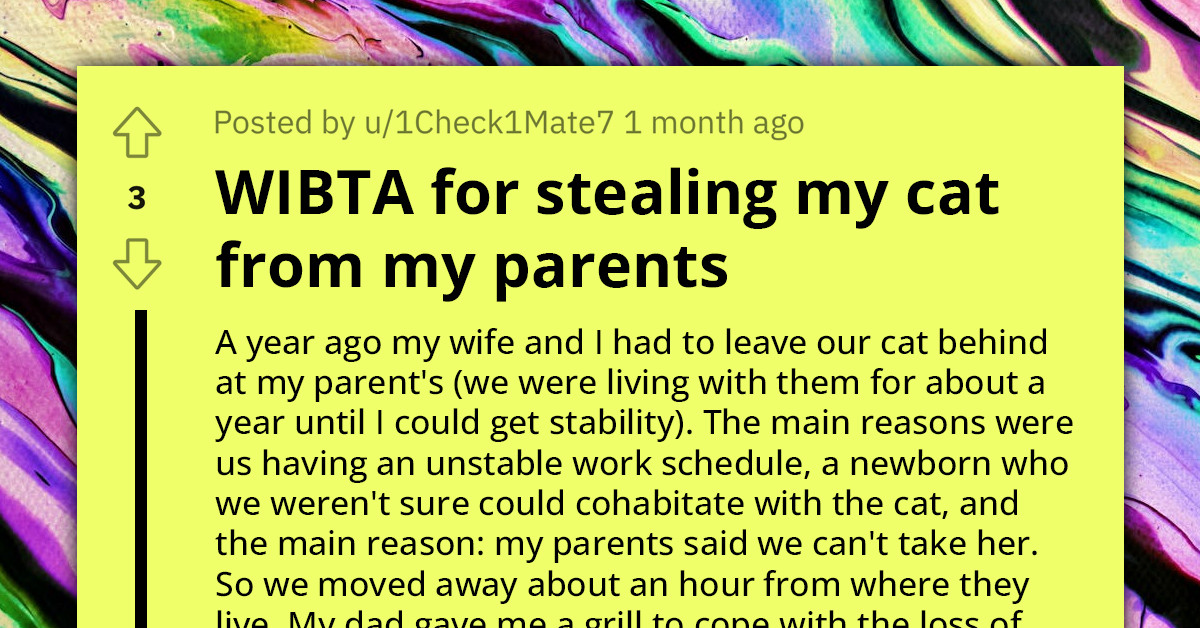 Redditor Plots Daring Cat Heist From Parent's Home After Months Of Unsuccessfully Battling Them For Her Custody